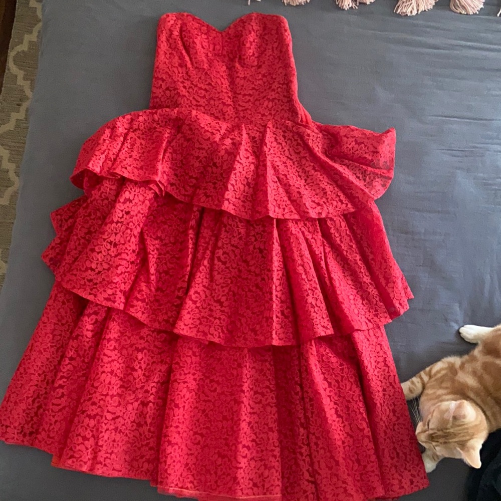 Vintage 1950’s lace dress